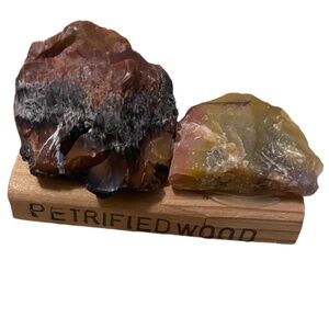 Vintage Petrified Wood, cabbing rough, gemstone, specimen, mineral rough,‎